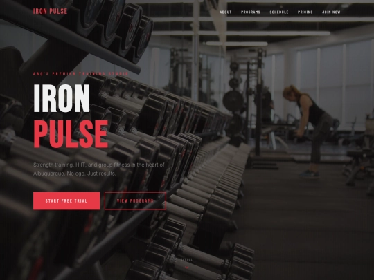 ironpulse-fitness-demo screenshot