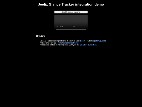 Technologies-web/jeelizGlanceTracker/integration-1 screenshot