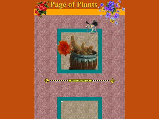 colls-plants screenshot