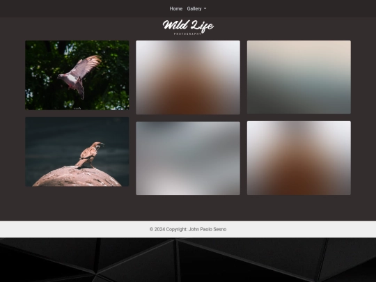 prod2/wildLife_photography screenshot