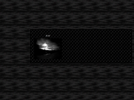 T1 screenshot