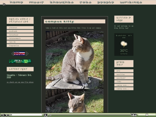 cats screenshot
