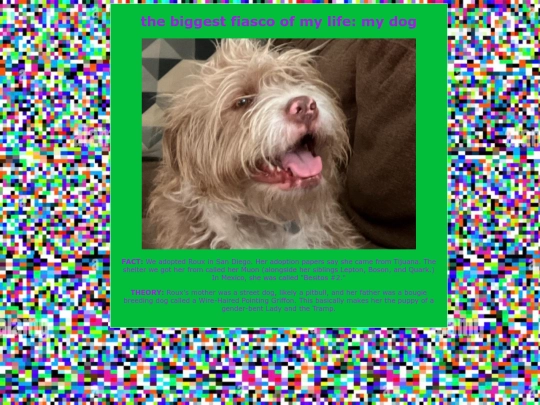 roux screenshot