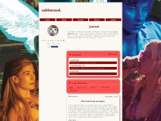 blog screenshot