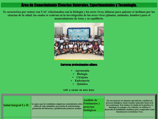 capa/CAPA HTML  areas/A screenshot