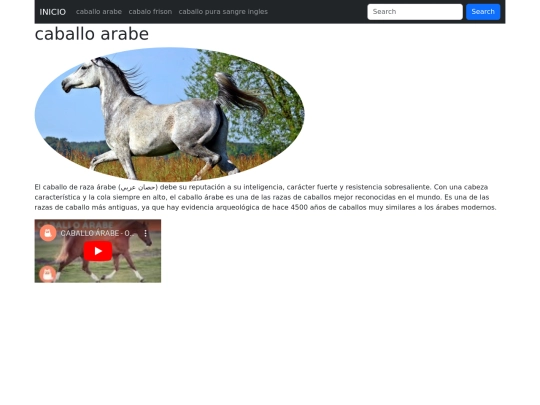 paginas/pagina1 screenshot