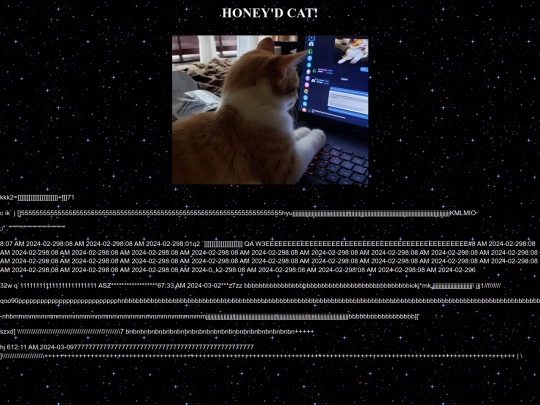honey screenshot