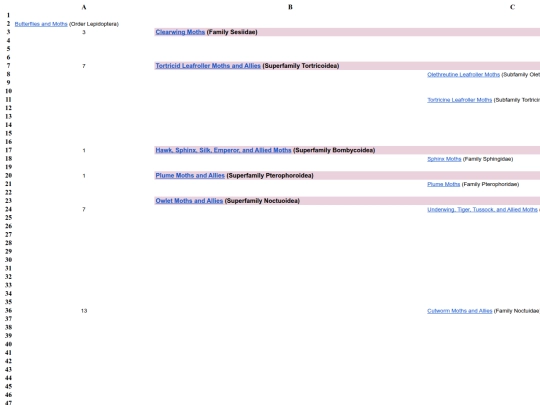 moth/Sheet1 screenshot