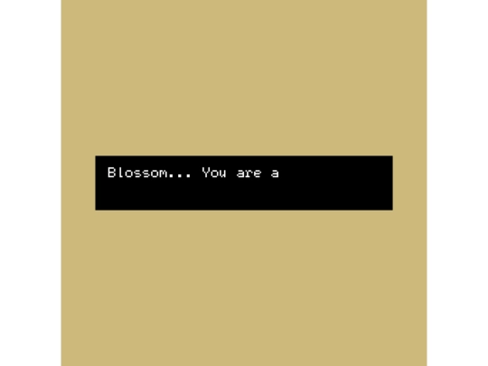 Blossom2 screenshot