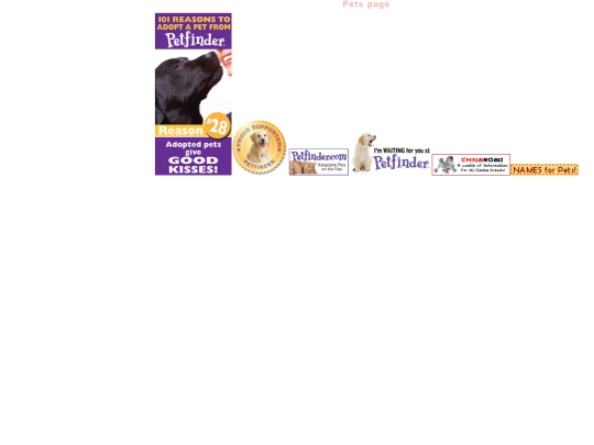 page screenshot