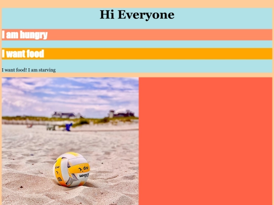 Fancywebsite2 screenshot