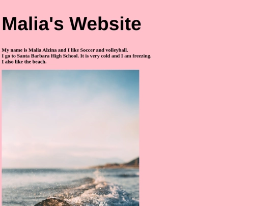 firstwebsite screenshot