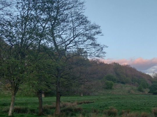 field screenshot