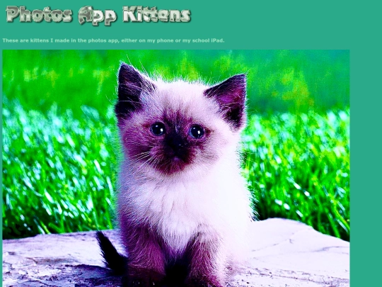 photokittens screenshot