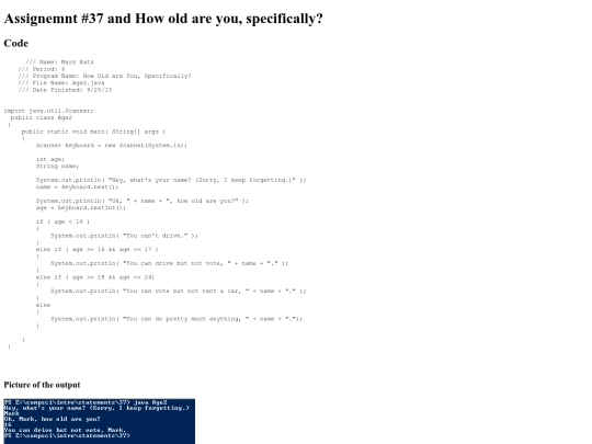 Intro/Statements/37/prog37 screenshot