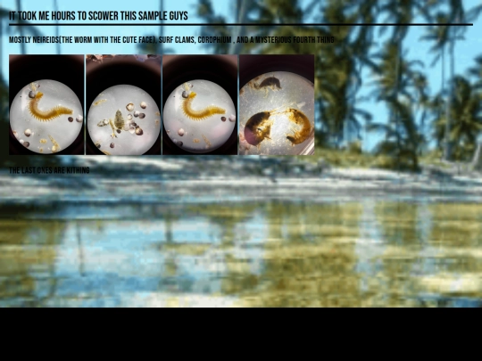 samplepicking screenshot