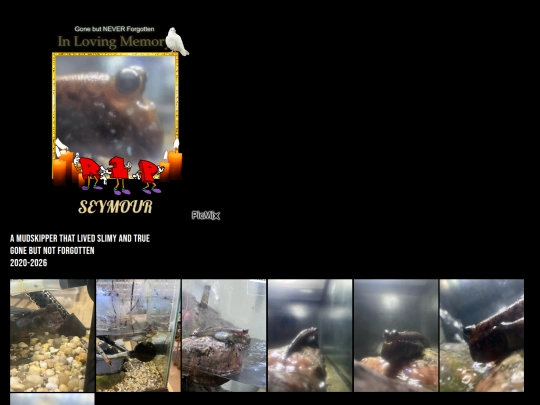 seymour screenshot