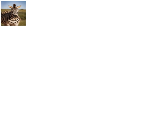 Imagen/Fotos screenshot