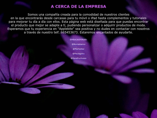 Proyecto final/sobrenosotros screenshot