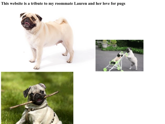 WorldofPugs screenshot