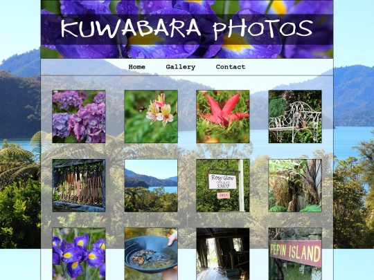 gallery screenshot