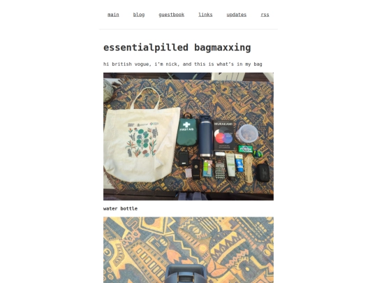 blog/essentialpilled-bagmaxxing screenshot