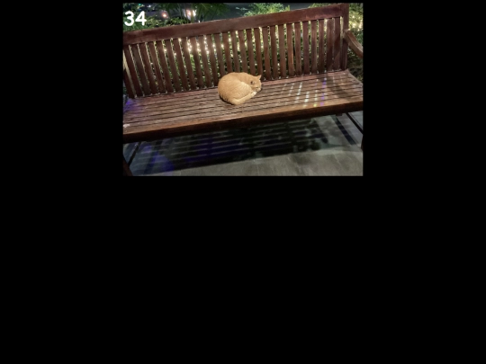 bgc/tacocat screenshot