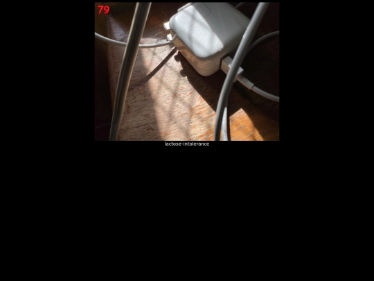 pentamerous/letsgetreal screenshot