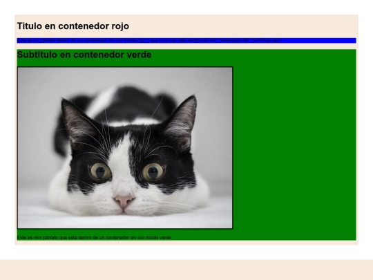 Proyecto 8 screenshot