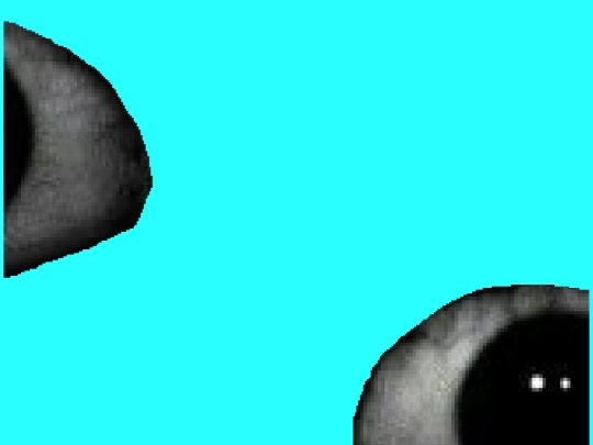 characters/illusion screenshot