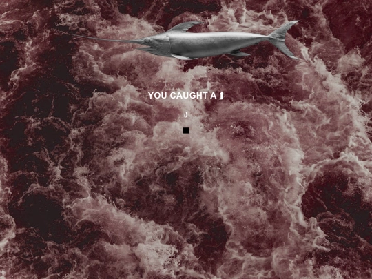 fish screenshot