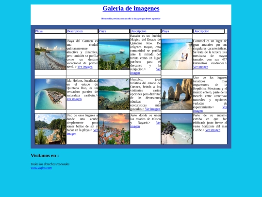 actividad_4_galeria de imagenes screenshot