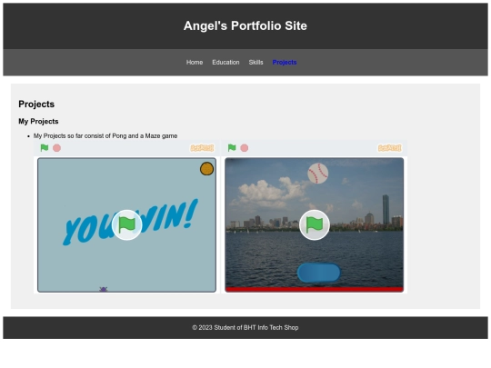 AngelPortfolio/projects screenshot