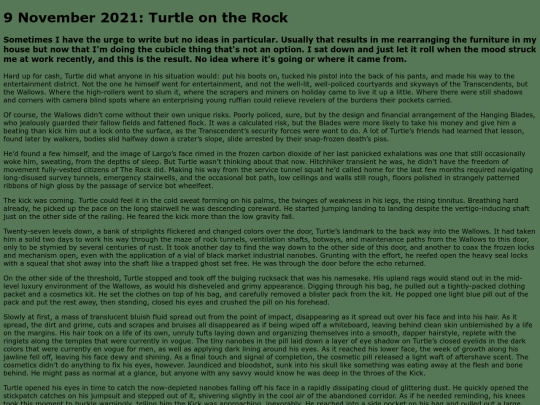 fiction/turtle-on-the-rock screenshot