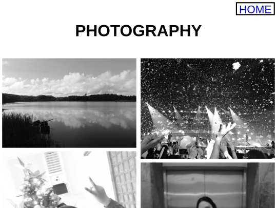 photography/photography screenshot