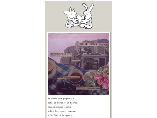 meow screenshot