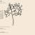 The Zinetree avatar