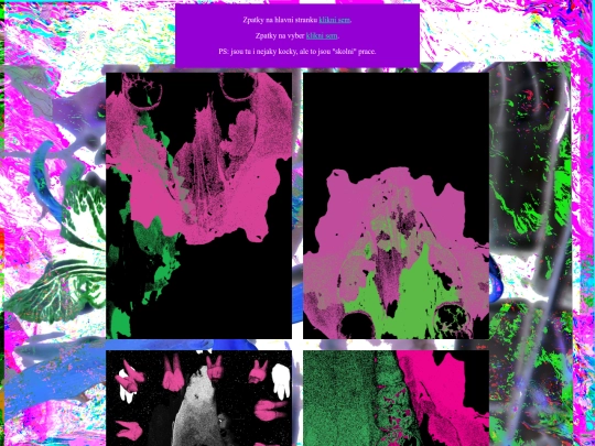 nekocky screenshot