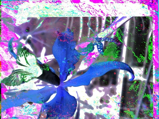 zvuk screenshot