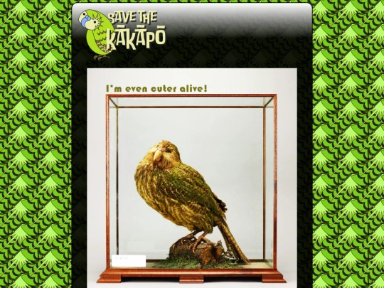 kakapo screenshot