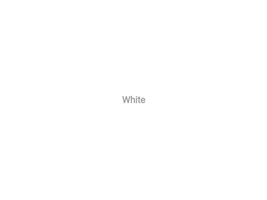 white screenshot