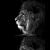es.neocities.org avatar