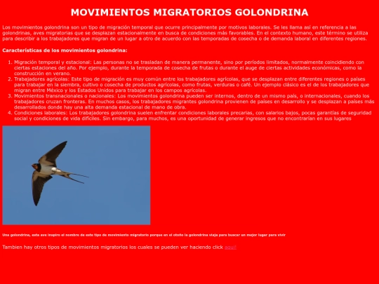 golondrina screenshot