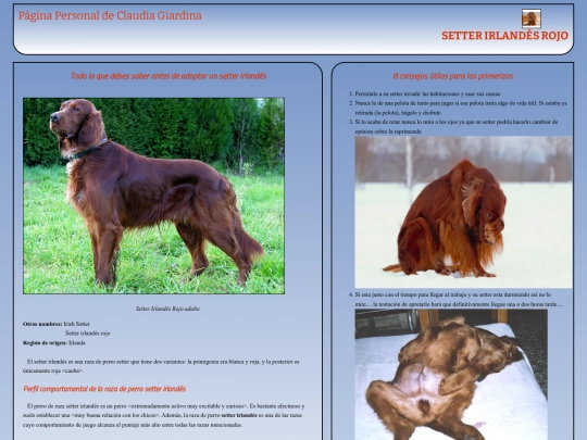 obligatorio_2 screenshot