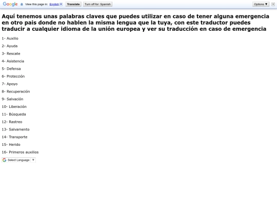translator screenshot