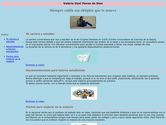 curriculo screenshot