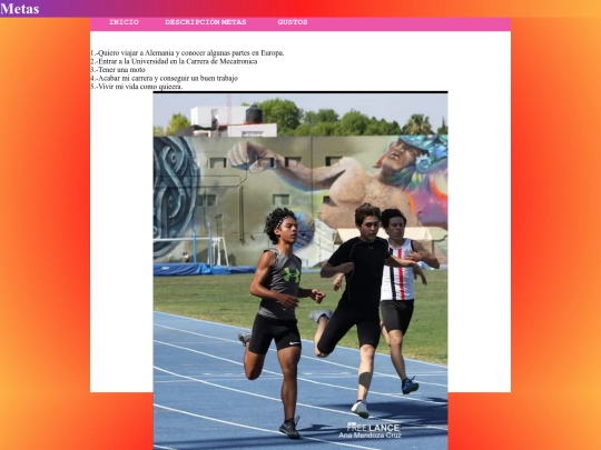 Archivo final/metas screenshot
