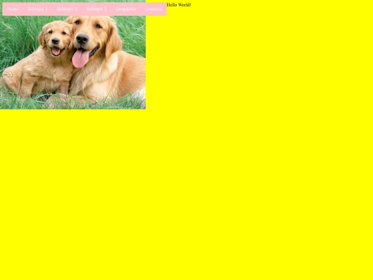 page5 screenshot