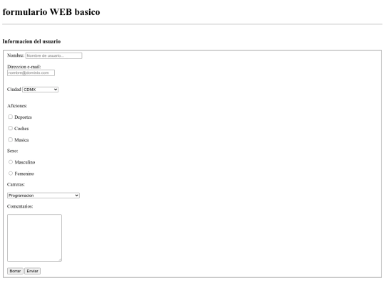 formulariobasico/formulariobasico screenshot