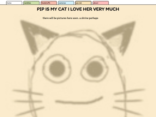 pip screenshot